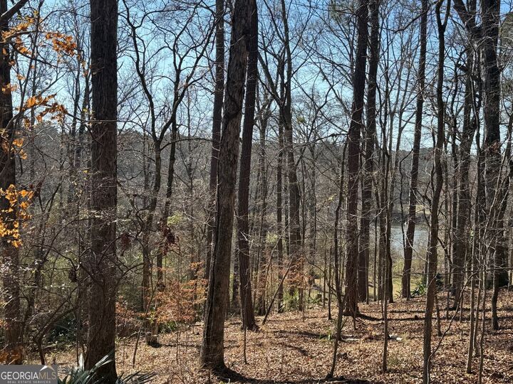 Property Photo:  139 River Knoll  GA 31211 