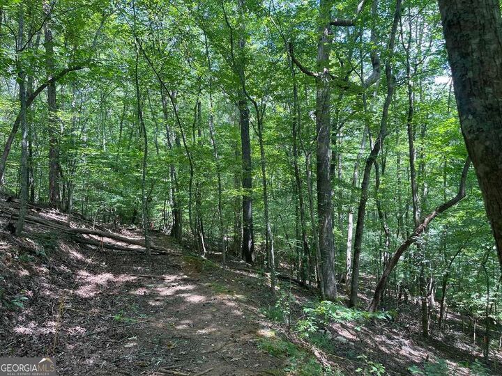 Property Photo: Lot 223 Bowline Drive 223 GA 30540