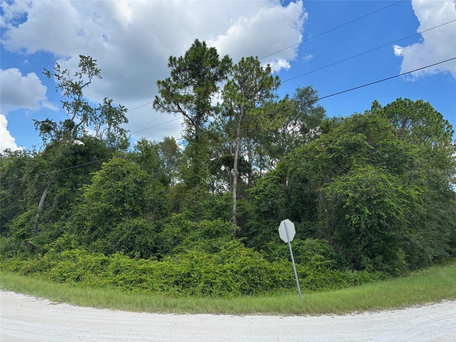 Property Photo:  Lot 1 Canvasback Road  FL 34614 