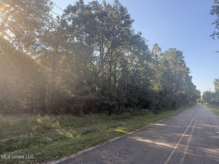 Property Photo:  N Pine Drive  MS 39571 