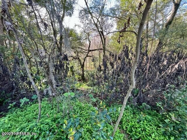 Property Photo:  0 N River Bluff Road  FL 32211 