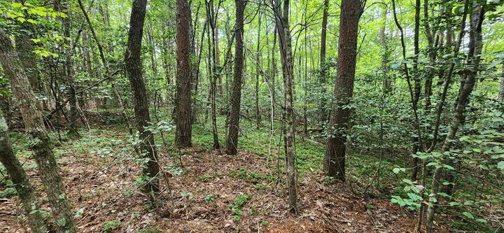 Property Photo:  Lot 44 Old Mill Pond Road  GA 30559 