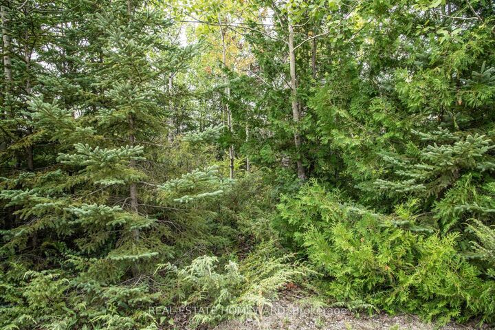 Property Photo:  254-256 McGuire Beach Road  ON K0M 2B0 