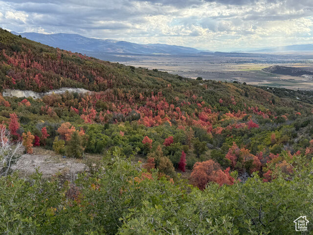 Property Photo: 1 Archies Hideaway 1&Amp2 UT 84629