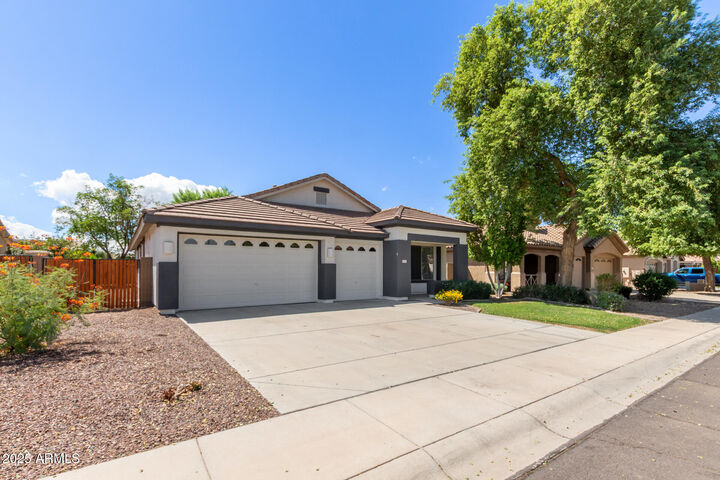 Property Photo:  12521 W Alegre Drive  AZ 85340 