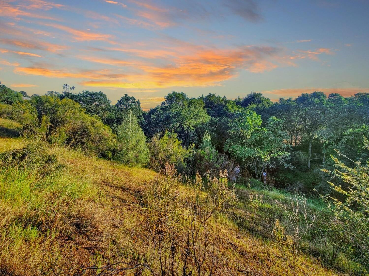 Property Photo: 6151 Baldwin CA 95252