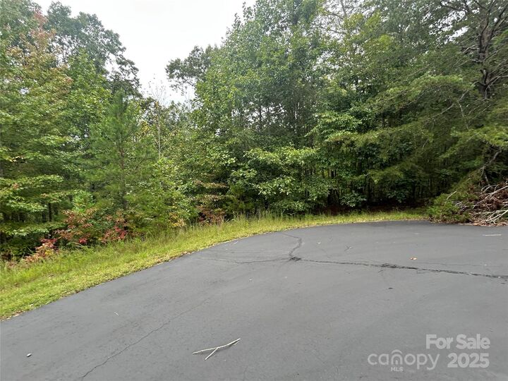 Property Photo: 168 Robinwood Trail NC 28018