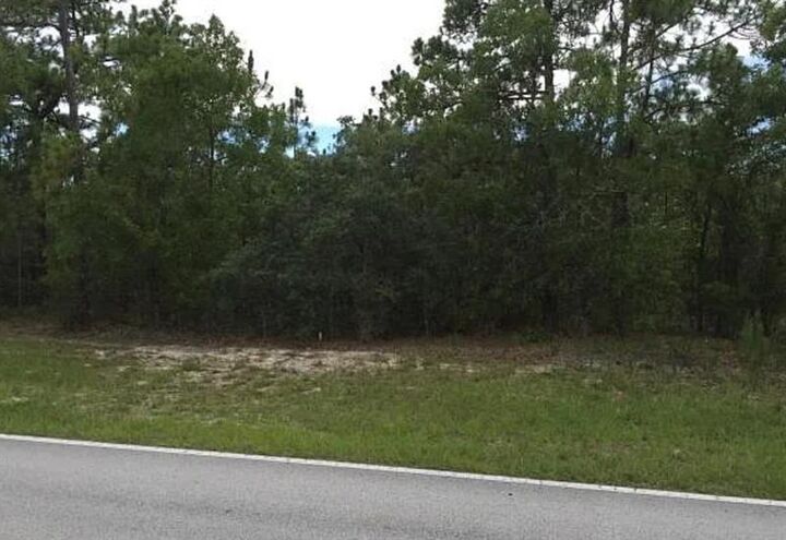 Property Photo:  131 Cypress Blvd  FL 34446 