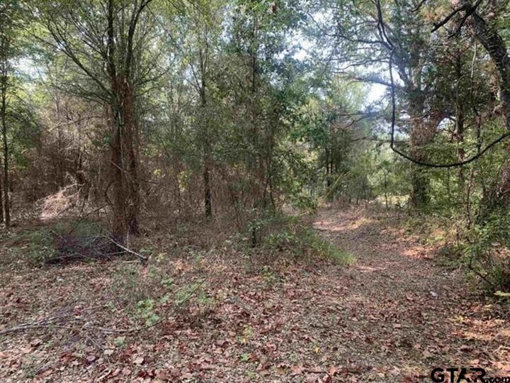 Property Photo:  Tbd Cr 479 (Tract 2)  TX 75771 