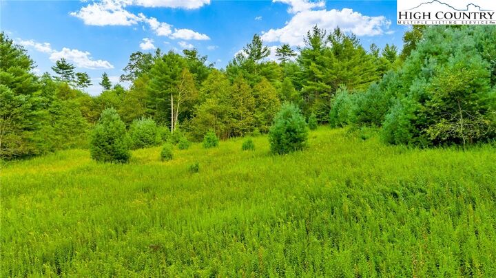 Property Photo:  Tbd US Hwy 221 S  NC 28626 