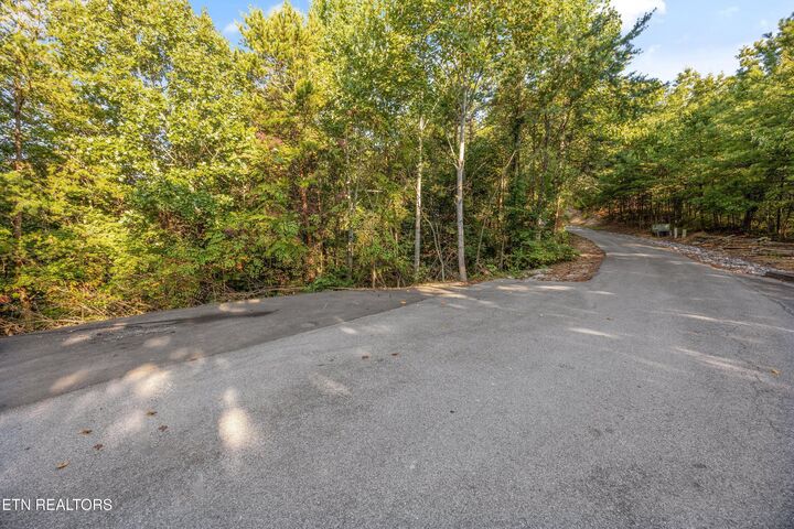 Property Photo: E Mountain View Way TN 37862
