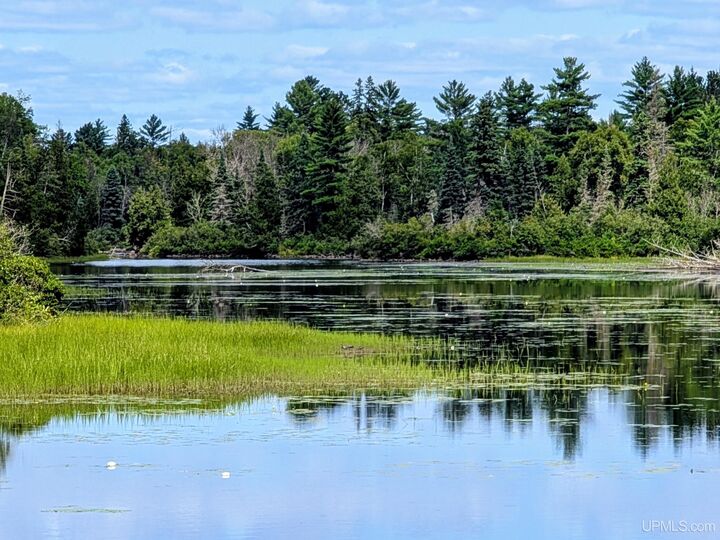 Property Photo:  33 Acres Off Net River Road  MI 49903 