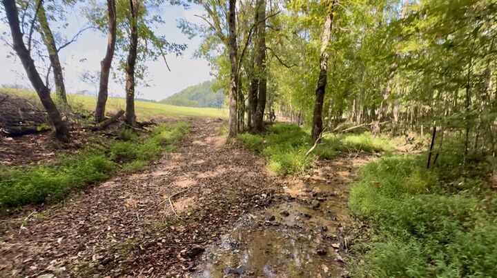 Property Photo:  6285 Rayburn Creek Rd  TN 38450 