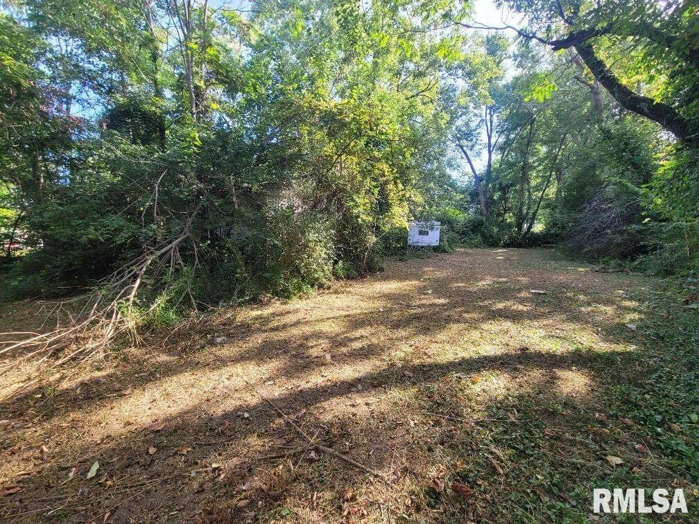 Property Photo: 1116 S Holland Street IL 62946
