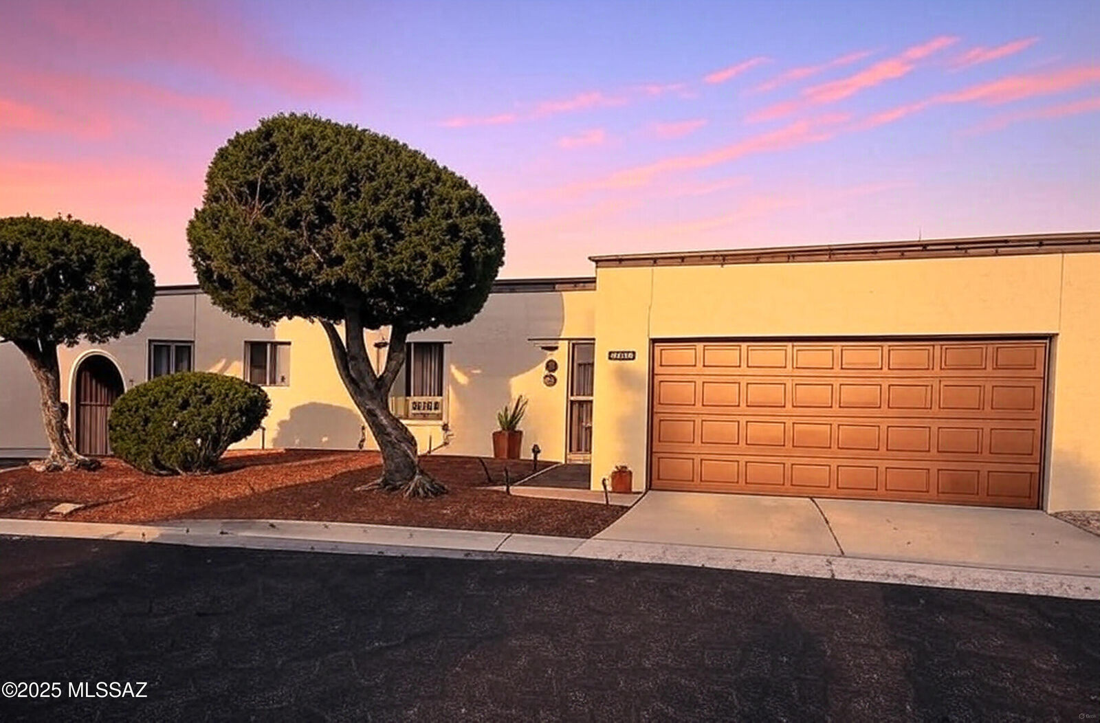 Property Photo:  1169 N Tracy Avenue  AZ 85715 