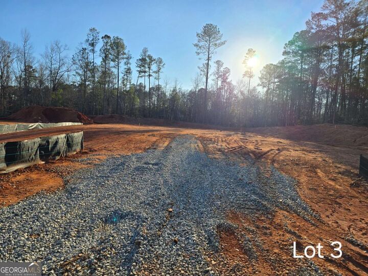Property Photo:  Lot 3 County Line Road  GA 30055 