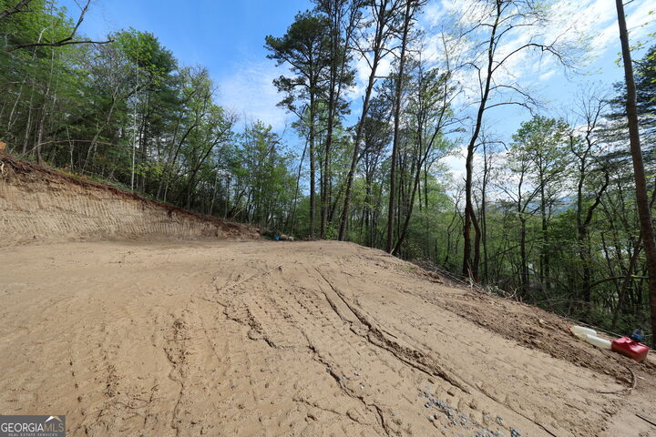 Property Photo:  0 John Beck Dockins  GA 30568 