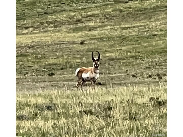 Property Photo: 4 Ranch Road CO 80449