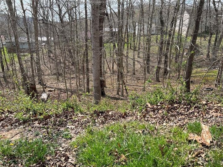 Property Photo:  1189 Hillcrest Drive  WV 25177 