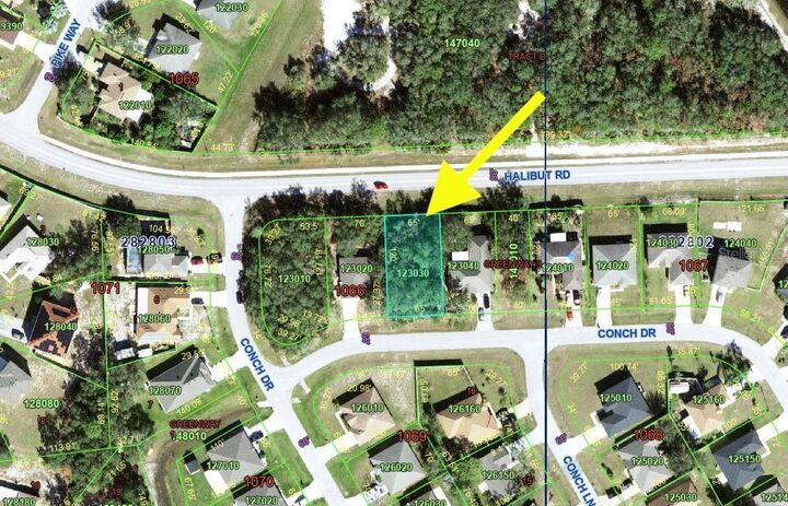 Property Photo: 193 Conch Drive FL 34759