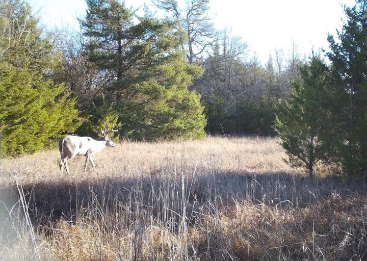 Property Photo:  80048 County Road 24200  TX 75477 