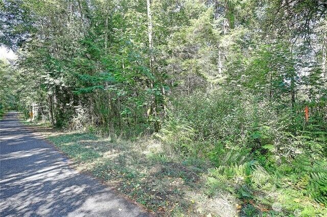Property Photo:  0  Dodge Road  WA 98282 