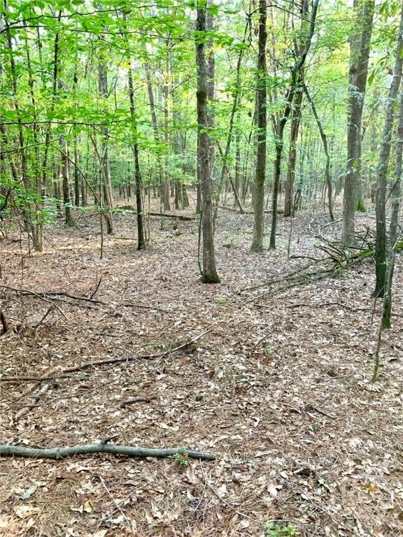 Property Photo:  0 Archer Grove School Road Tract B  GA 30607