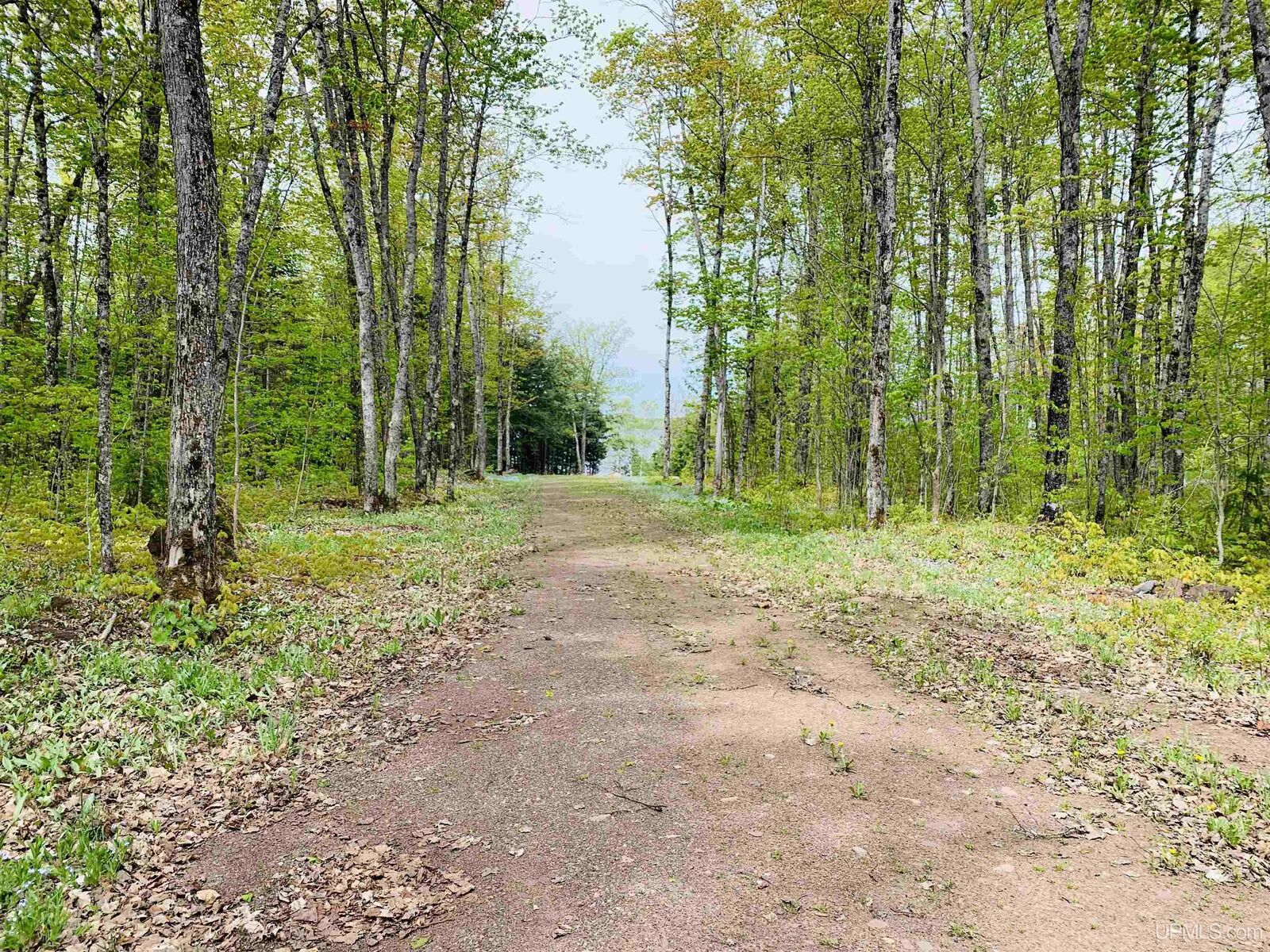 Property Photo:  14451 East Shore Road  MI 49910 