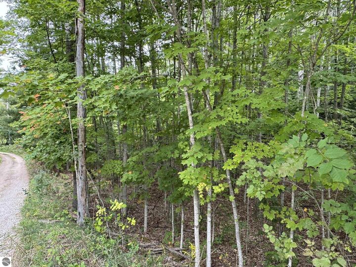 Property Photo:  Lot 4 E Old Mountain Road  MI 49621 
