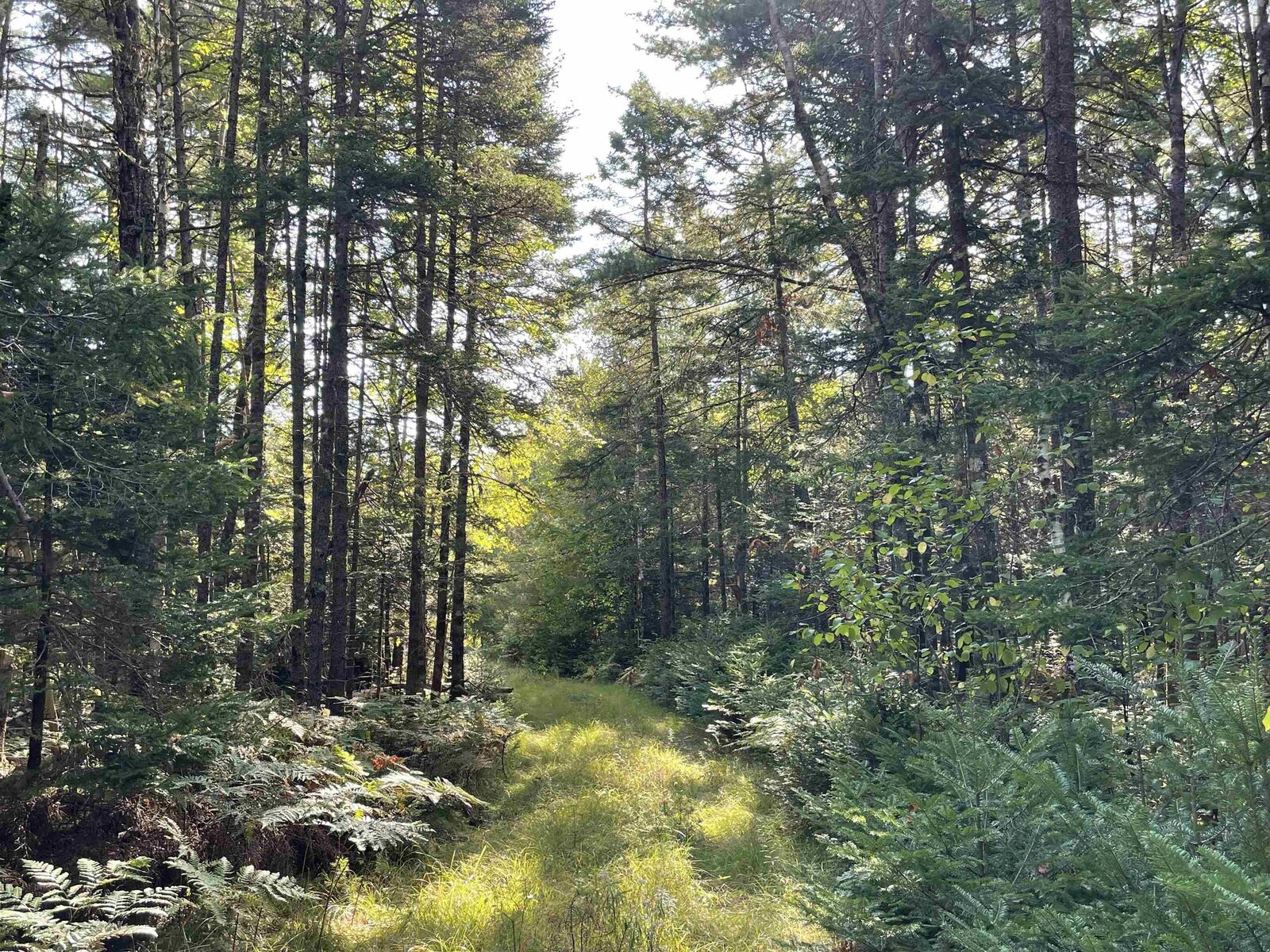 Property Photo:  69 Mackay Road  NS B0R 1E0 
