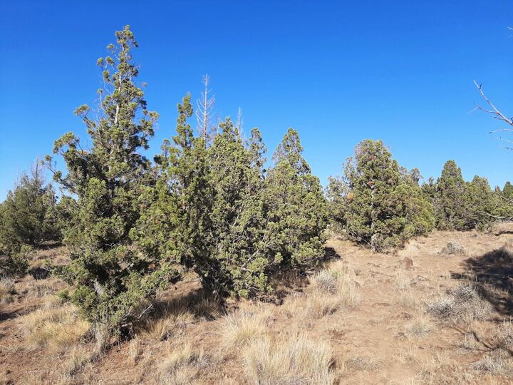 Property Photo:  SE Tillamook Loop  OR 97754 