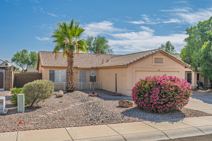 Property Photo:  845 W 15th Lane  AZ 85120