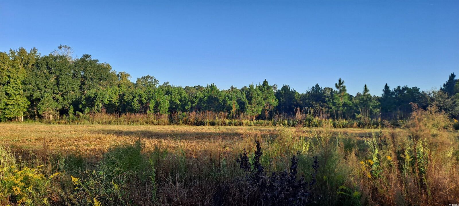 Property Photo:  Tbd Wee Tee Rd.  SC 29510 