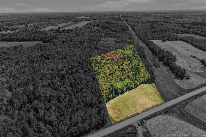 Property Photo:  Tbd Route 115  NB E4V 2V8 