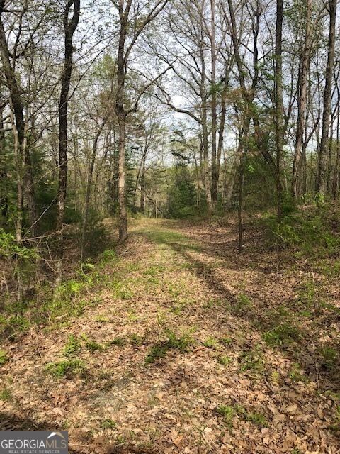 Property Photo:  Lt 17B Lakeland Drive  GA 30540 