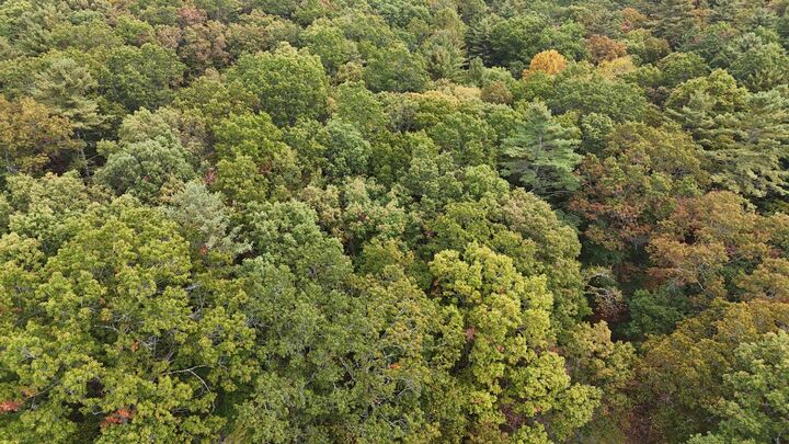 Property Photo:  6210/ 6212 Big Draft Rd.  WV 24983 