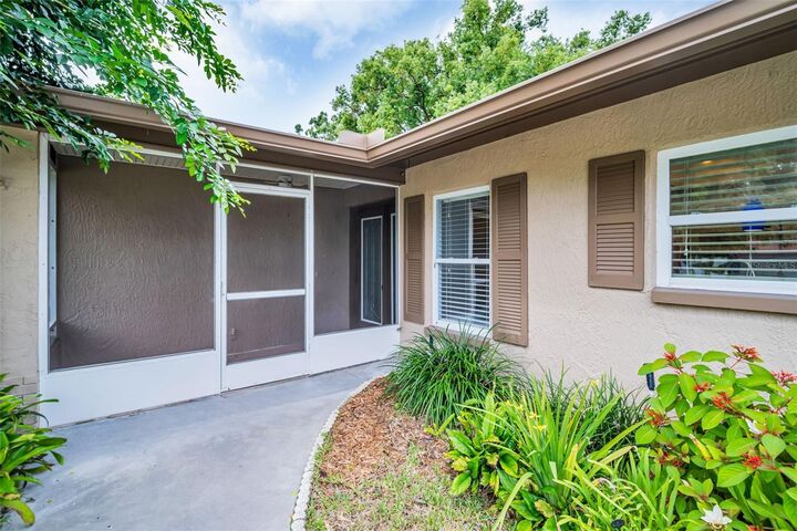 Property Photo: 2336 Malcolm Drive FL 34684