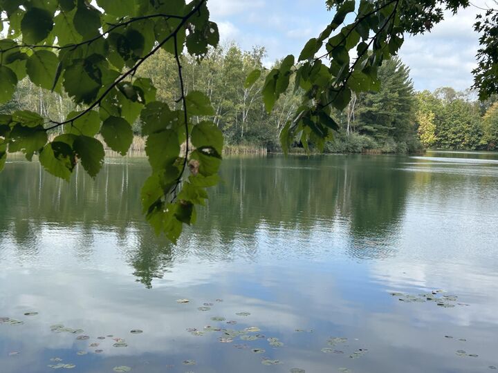 Property Photo: 8601 N. Island Drive MI 49346