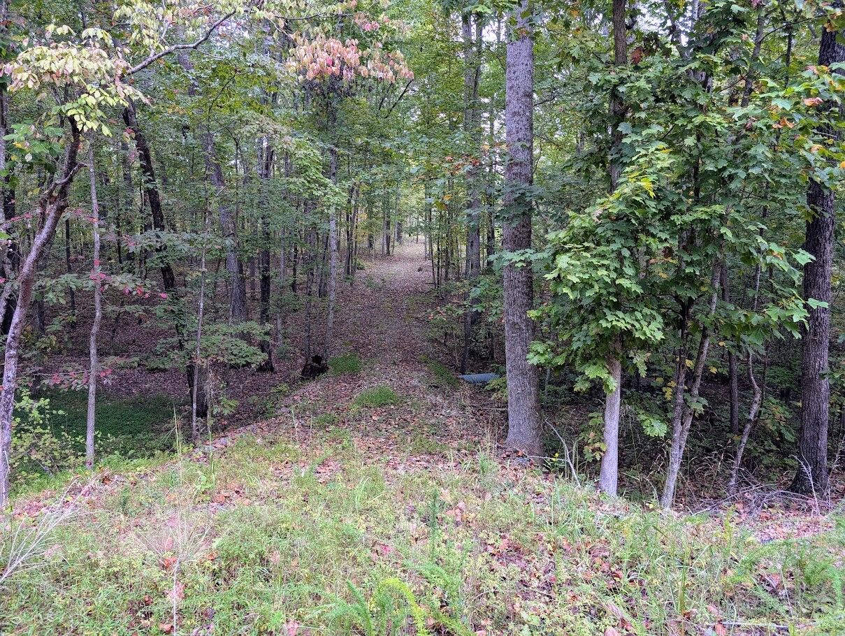 Property Photo:  0 Deer Run Rd Lot 146  TN 37301 