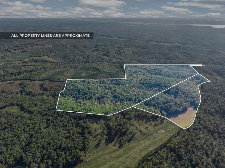 0 Cox Hollow  Dover TN 37058 photo