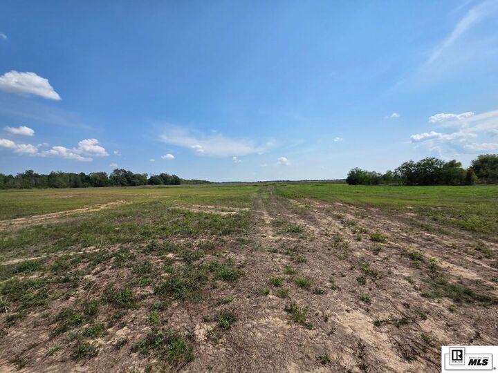 Property Photo:  00 Louisiana Highway 183  LA 71269 