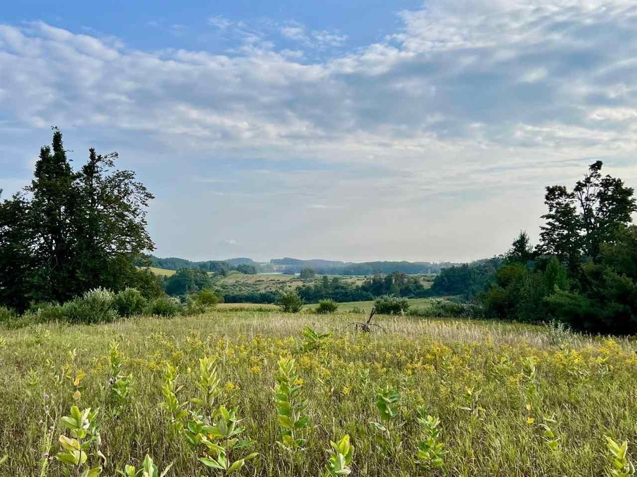 Property Photo:  00 Skinner Road  MI 49729 