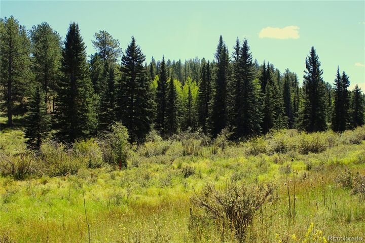 Property Photo:  6500 Cr 5  CO 80814 