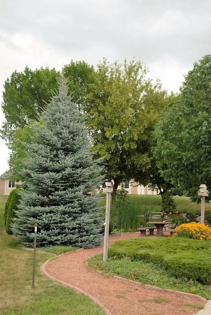Property Photo:  730 Kensington Drive  WI 54971 