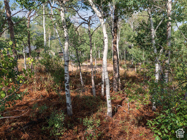 Property Photo:  2919 Green Briar Way 543  UT 84032 