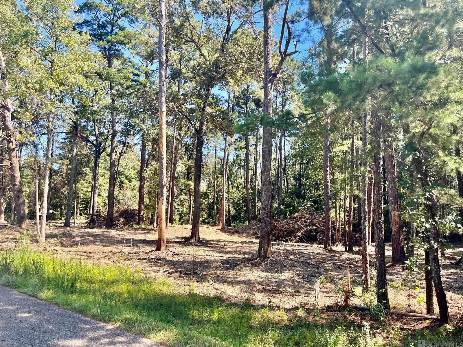 Property Photo: 15912 Chaumont Ave LA 70739