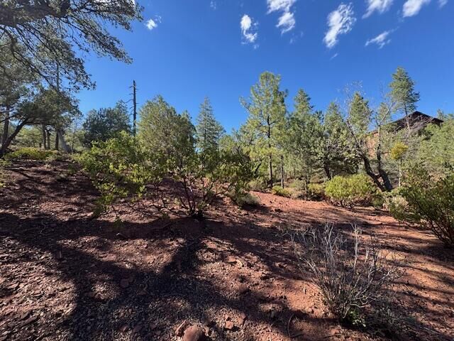 Property Photo: Lot 33 W Sage Court AZ 85544