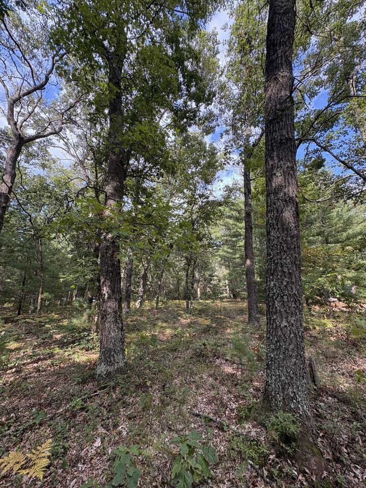 Property Photo: 0 S Shady Grove Drive MI 49304