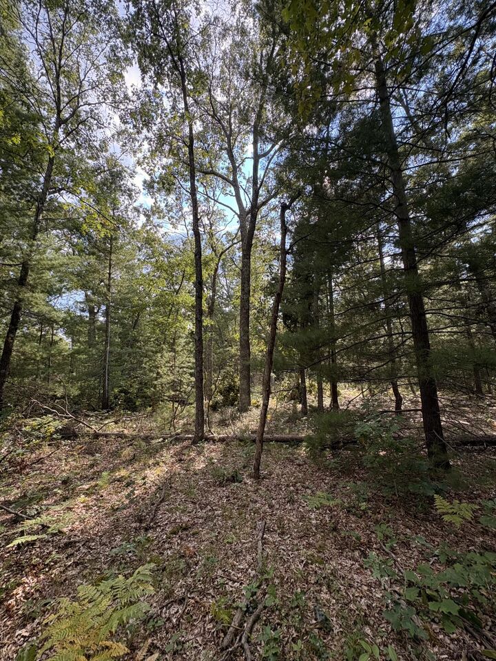 Property Photo:  0 S Shady Grove Drive  MI 49304 