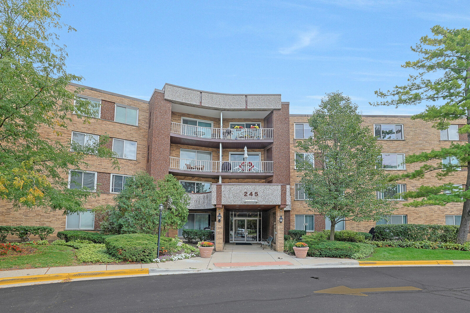 Property Photo: 245 S Park Lane 409 IL 60074